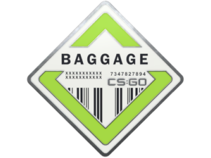 Baggage Pin