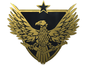 Brigadier General Pin