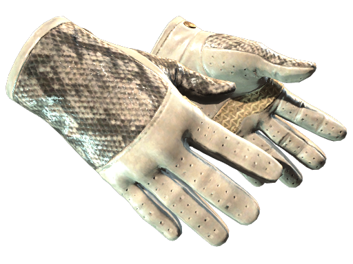 ★ Driver Gloves | King Snake (Minimal Wear)