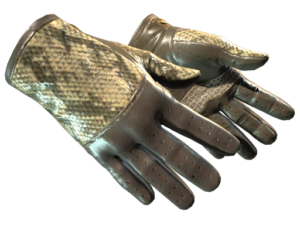 ★ Driver Gloves | Diamondback (Factory New)